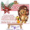 Martisoare magneti handmade Arici