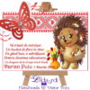 Martisoare magneti handmade Arici